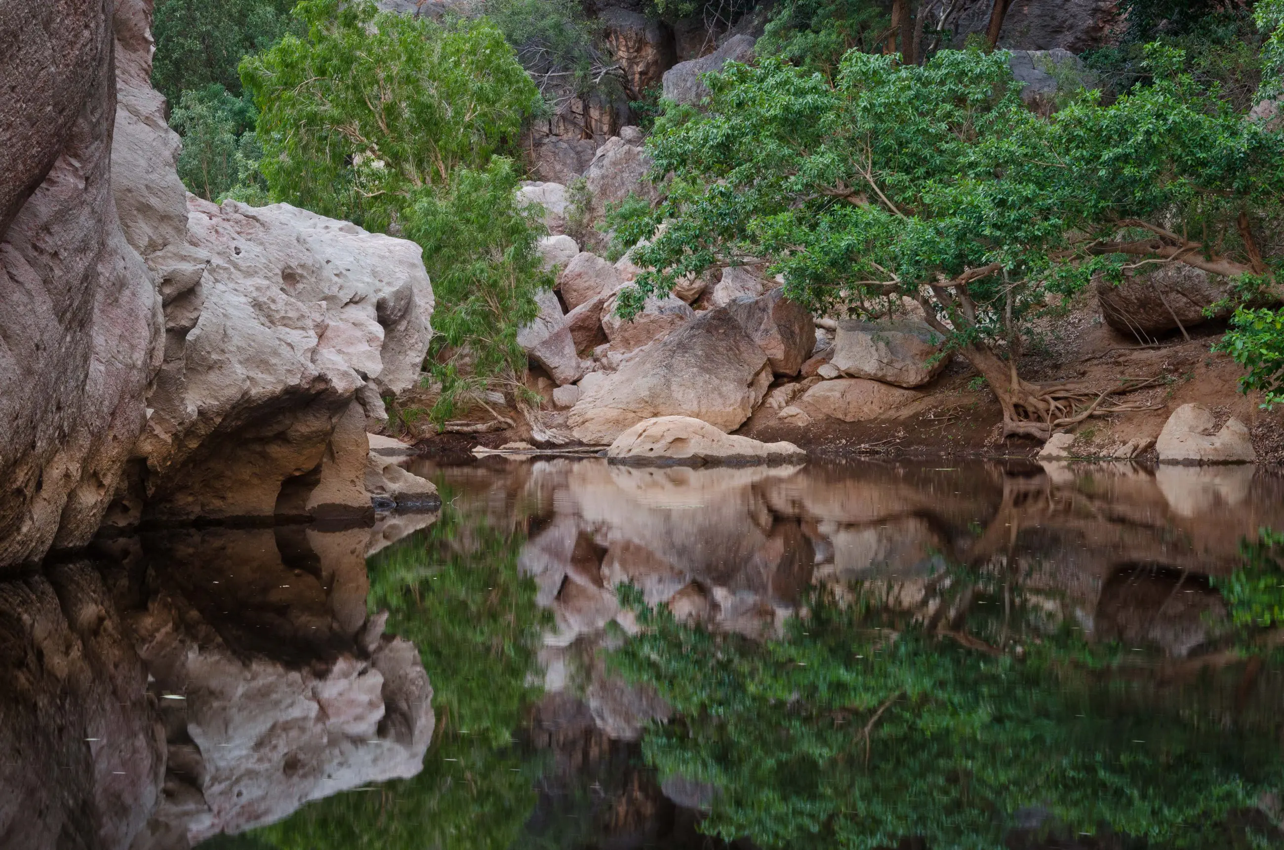Scenic view of towering rocks and lush green trees mirrored in tranquil water on a Broome to Darwin 10 Day 4WD Kimberley Adventure.