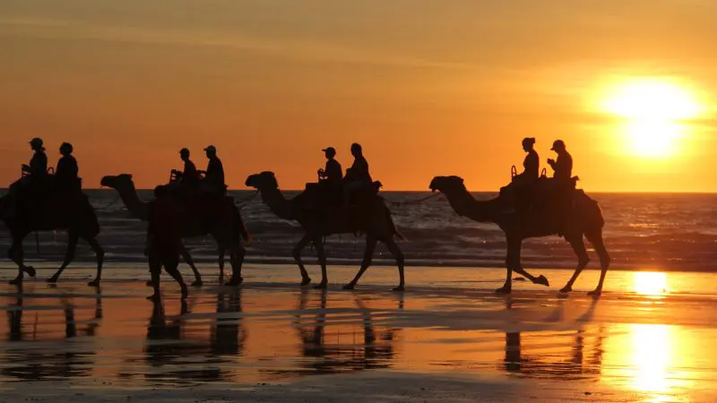 Sunset camel caravan on wet sand, Broome to Perth 10-day West Coast Adventure tour, vivid reflections, iconic Australian outback scene.