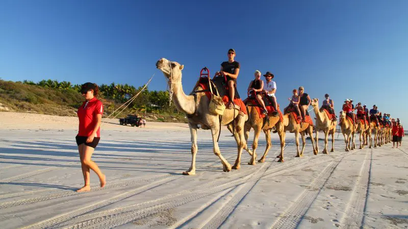 Tour group riding camels along a scenic sandy beach beneath a vibrant blue sky on a Perth to Darwin trip, Broome stay not included.