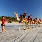Experience an unforgettable camel ride along a stunning sandy beach, featured in the Perth to Darwin Adventure with Broome accommodation.