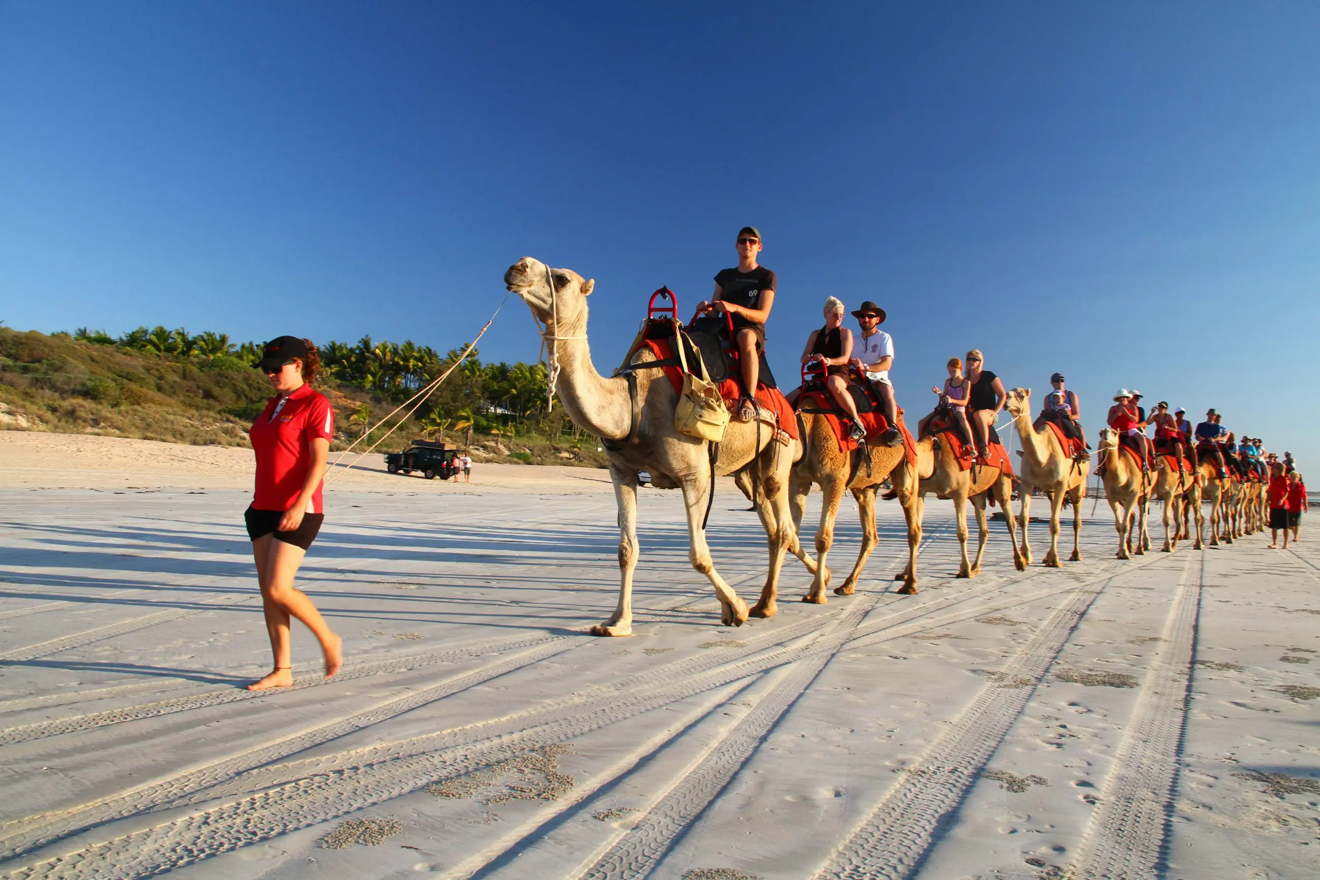 Experience an unforgettable camel ride along a stunning sandy beach, featured in the Perth to Darwin Adventure with Broome accommodation.