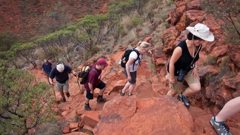 Adventure seekers hiking a rugged red Outback trail near Alice Springs on a 5-day camping tour, surrounded by scenic wild landscapes.