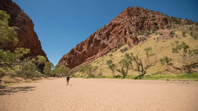 Explorer hikes through a sunbaked riverbed on a 5-day Outback camping adventure, journeying from Yulara to Alice Springs.