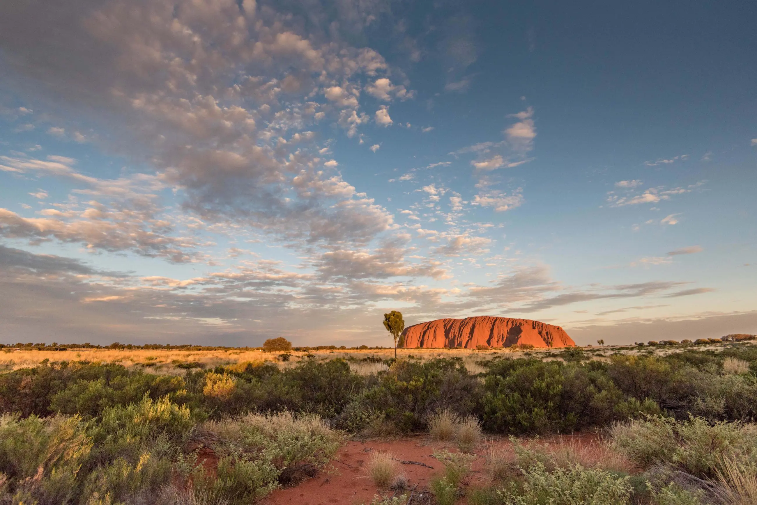 Experience the iconic Uluru glowing at sunset above sweeping grassy plains on a 3-night Uluru tour from Alice Springs to Yulara.