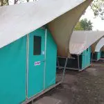 Discover a row of green canvas-roofed tents for Kakadu Tour Camping, set beneath shady trees in a scenic, natural outdoor setting.