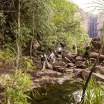 Adventurers on a Kakadu tour camping trip hike over rocky terrain through vibrant rainforest towards a distant cascading waterfall.