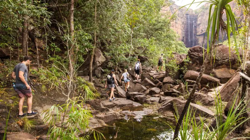 Adventurers trek vibrant rainforests and rugged paths during the 5-Day Kakadu, Arnhem Land, Katherine & Litchfield guided tour.