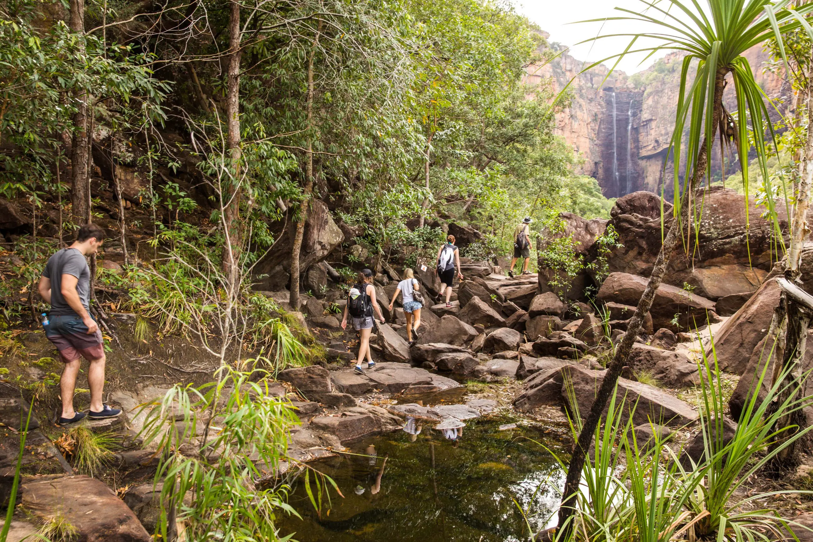 Travellers embark on a Kakadu Family Tour in Katherine and Litchfield, trekking through lush rainforest towards a scenic waterfall view.
