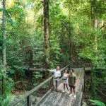 Three people on a scenic rainforest boardwalk during K'gari 2 Day Tour from Hervey Bay, lush greenery, one person pointing ahead.