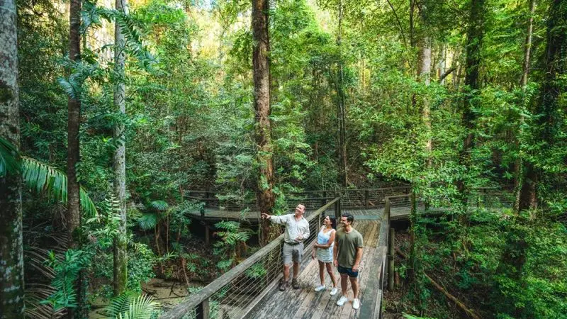 Three visitors walk along a scenic wooden boardwalk through ancient rainforest on a K’gari Explorer Day Tour departing Hervey Bay.