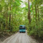 A vibrant blue Kgari 5 Day Ultimate tour bus travels down a sandy road, framed by dense, lush green forest and towering trees.