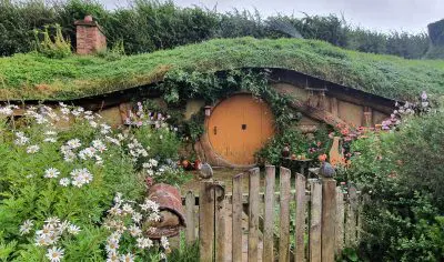 Charming house with vibrant green roof, colourful garden blooms, and a unique Funky Chicken statue displayed in the sunny front garden.