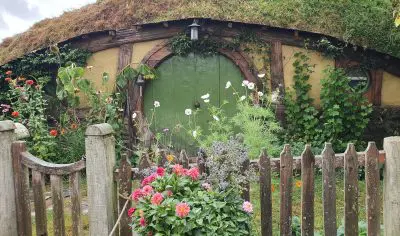 Vivid green door framed by lush garden foliage, vibrant leaves, and flowers—a charming garden entryway scene rich in colour.