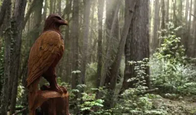Intricately carved wooden eagle statue perched on a tree stump, bathed in sunlight amid lush green forest with towering trees.