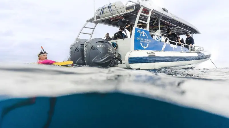 Snorkeller in crystal-clear water near Julian Rocks tour boat, half-submerged view showing boat engines and sparkling waterline.