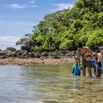 Family enjoying crystal-clear waters on a Frankland Island All-Inclusive Tour by lush, rocky shoreline—perfect tropical getaway.