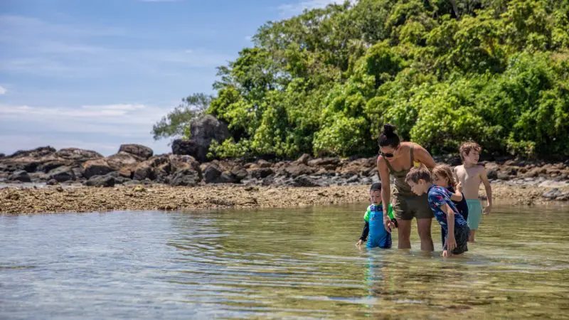 A family enjoys wading in crystal-clear water by the rocky shore on a Frankland Island Express Tour in Queensland, Australia.