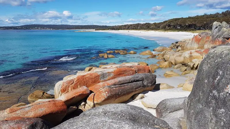 Experience Tasmania’s untamed coastline—orange lichen-covered rocks, pristine blue waters—on a 4 Day Wilderness Loop Tour.