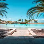 Spacious swimming pool with active swimmers, palm trees, and tropical-style resorts—unwind after your fully guided Sydney to Cairns tour.