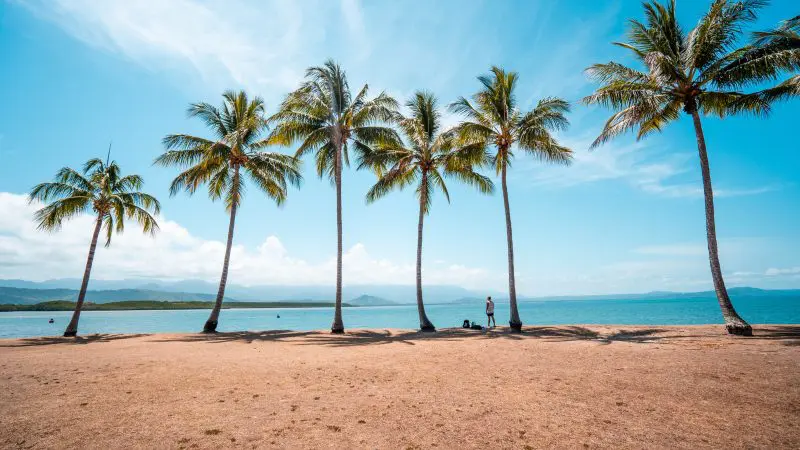 Towering palm trees line a pristine sandy beach on the Fully Guided Ultimate East Coast Sydney to Cairns 3 Weeks 2 tour adventure.