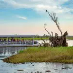 Tour boat glides through Kakadu wetlands at sunset on the 2 Day Outback Retreat from Darwin, beneath vibrant blue skies.