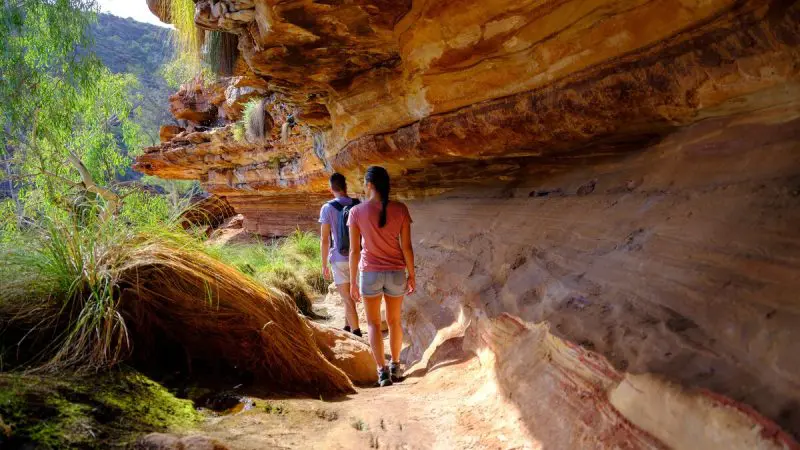 Two hikers trek a scenic dirt path along the 6 Day Perth to Exmouth Coral Coaster, next to vibrant sunlit rocky cliffs.
