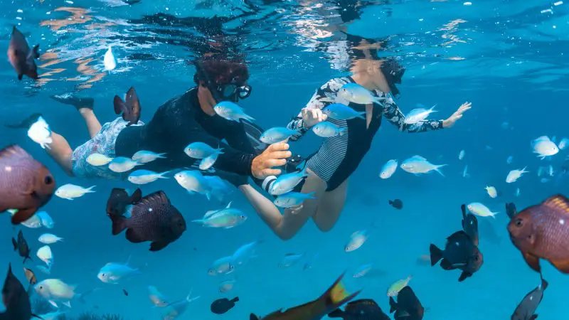 Snorkellers swim in crystal-clear blue waters, showcasing top experiences on the 6 Day Perth to Exmouth Coral Coaster tour from Perth.