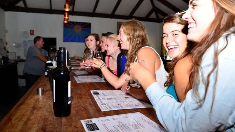 Group of five young women enjoying wine tasting and smiling at a bar during a one-day Hunter Valley wineries tour from Sydney.