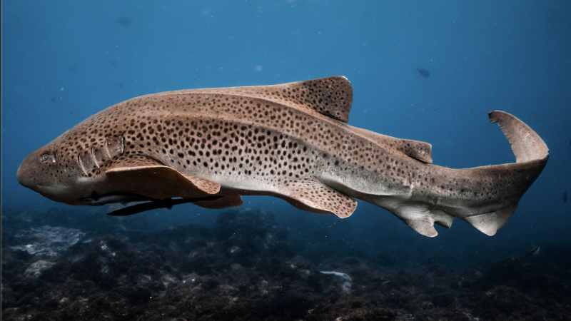 65bc3a057db09_4076_screenshot-2023-10-17-at-35226-pm-1