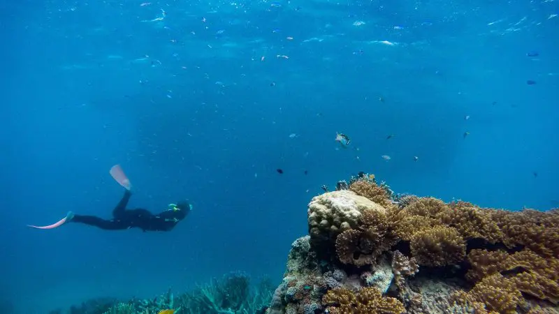 Snorkeller explores colourful coral reef by 2-in-1 Green Island Outer Barrier Reef Activity Platform in crystal-clear turquoise water.