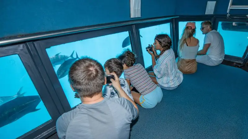 Five people sit on the floor at the Great Barrier Reef Activity Platform, watching giant fish swim underwater in a vibrant marine display.
