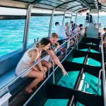 Tourists aboard a glass-bottomed boat observe vibrant tropical fish swimming in crystal-clear blue water beneath the transparent floor.