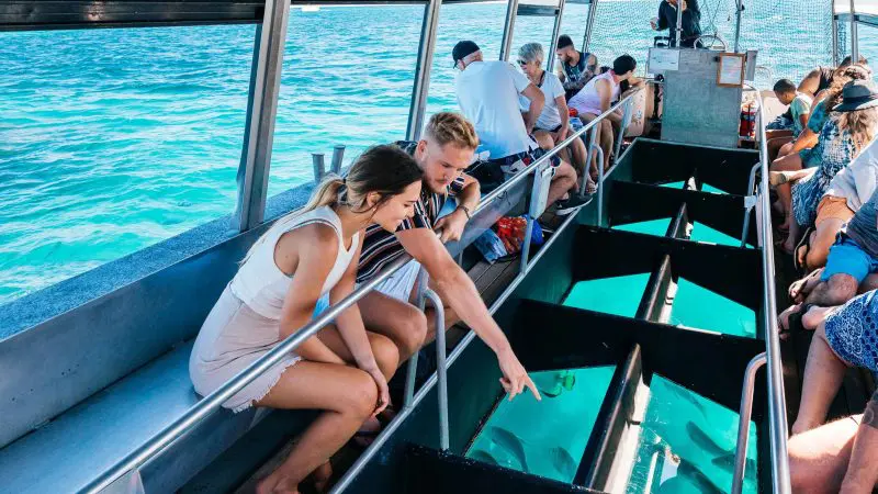 Tourists aboard a glass-bottomed boat observe vibrant tropical fish swimming in crystal-clear blue water beneath the transparent floor.