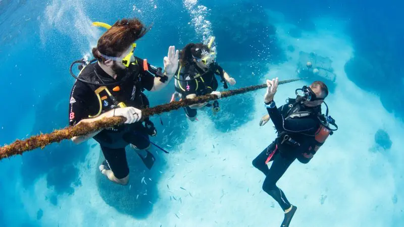 Scuba divers on the Silverswift Outer Barrier Reef Cruise high-five over a pristine sandy ocean floor, showcasing reef adventure.