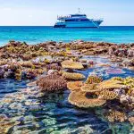 Vibrant Great Barrier Reef coral in crystal-clear water with a luxury tour boat from the 3 Day 2 Night Snorkelling Tour in the background.