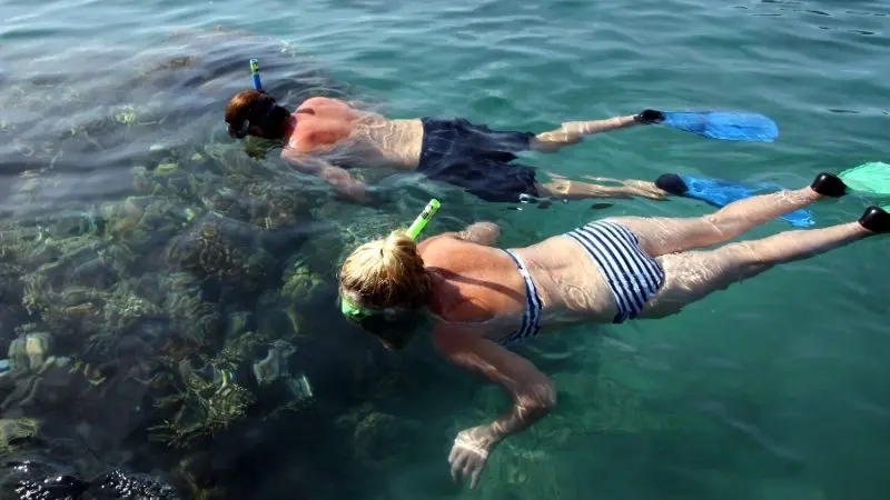 Two people snorkelling at a reef in the Whitsundays Islands