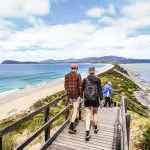 Visitors descend a wooden staircase overlooking the picturesque Bruny Island beach on a scenic food, sightseeing, and lighthouse tour.