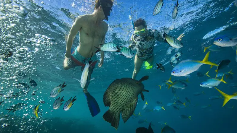 Couple snorkelling