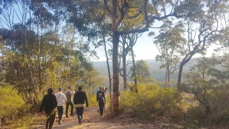 Tour group explores the Blue Mountains, walking scenic waterfall trails and sharing lunch in a sun-drenched forest among towering trees.