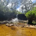 A stunning Blue Mountains waterfall cascades into a crystal-clear stream, framed by vibrant green rainforest on a guided Waterfall Walk tour.