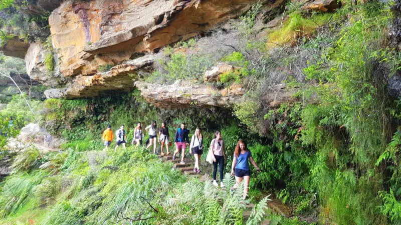 Travellers hike scenic stone steps on a Blue Mountains tour, exploring lush rainforest trails and majestic waterfalls beneath rocky cliffs.