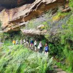 Adventure seekers ascend scenic stone steps under dramatic cliffs on a guided Blue Mountains Day Tour featuring waterfall walks and a sociable lunch.