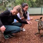 Two women smiling and interacting with kangaroos in a scenic wooded enclosure during a 1 Day Blue Mountains Wildlife Park tour.