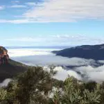 Discover breathtaking views of a lush green valley and misty sandstone cliffs on a 1 Day Blue Mountains Wildlife Park adventure.