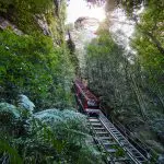 Experience the iconic red scenic railway train climbing a steep track amid breathtaking Blue Mountains views on this all-inclusive tour.