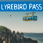 66727e3debef2_377_copyofcopyofuntitled6-2