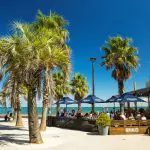Beachfront outdoor café in Melbourne with blue umbrellas and palm trees, offering scenic seaside dining for your ultimate adventure.