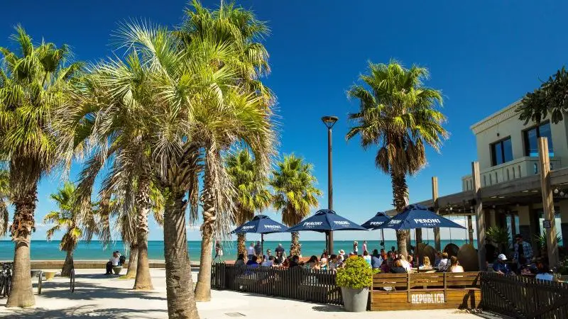 Beachfront outdoor café in Melbourne with blue umbrellas and palm trees, offering scenic seaside dining for your ultimate adventure.