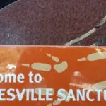 Prominent orange and white sign says “Welcome to HEALESVILLE SANCTUARY, gateway to the Dandenong Ranges,” with footprint graphics.