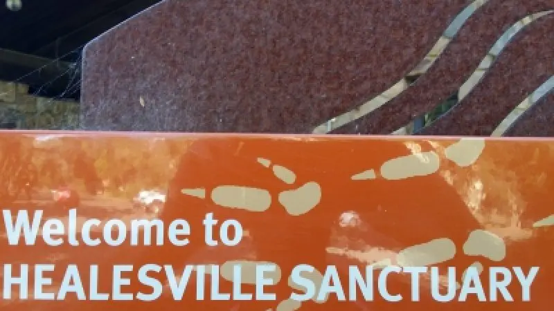 Prominent orange and white sign says “Welcome to HEALESVILLE SANCTUARY, gateway to the Dandenong Ranges,” with footprint graphics.